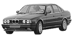 BMW E34 P1384 Fault Code